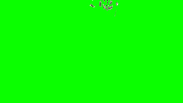Lluvia de dinero sobre un fondo verde. Inconsútil Looped 3d animación. Ultra HD 4K 3840x2160 — Vídeo de stock