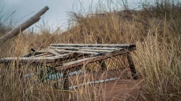 Abandonar Armadilha Lagosta Ilha Príncipe Edward — Fotografia de Stock