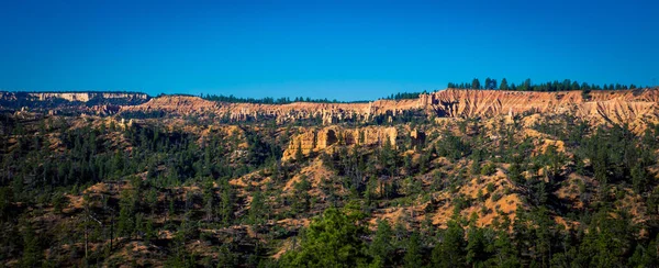 Bryce Canyon Utahu — Stock fotografie