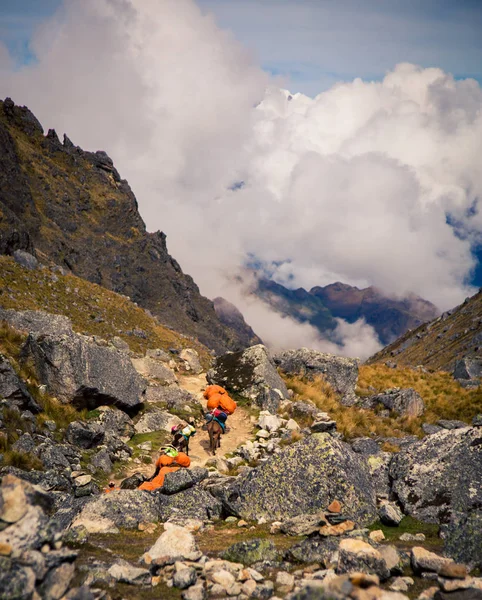 Caballo Las Montañas Perú — Foto de Stock