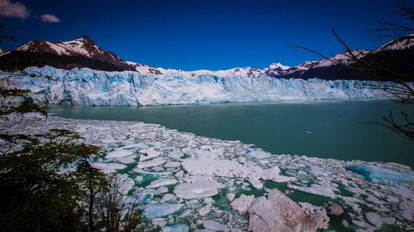 Calafate Patagonia Argentina —  Fotos de Stock