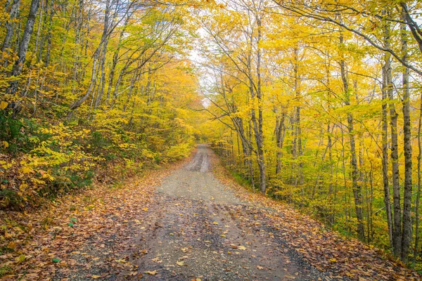 Schotterpiste Herbst Cape Breton — Stockfoto