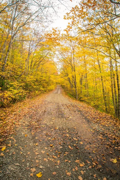 Štěrková Cesta Podzim Cape Breton — Stock fotografie