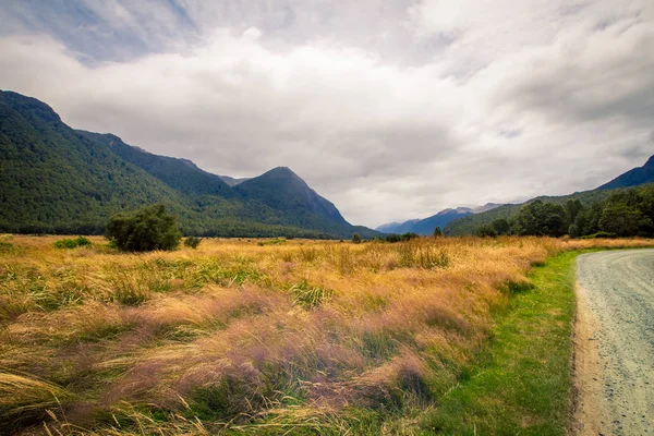 Valle Sull Isola Del Sud Nuova Zelanda — Foto Stock