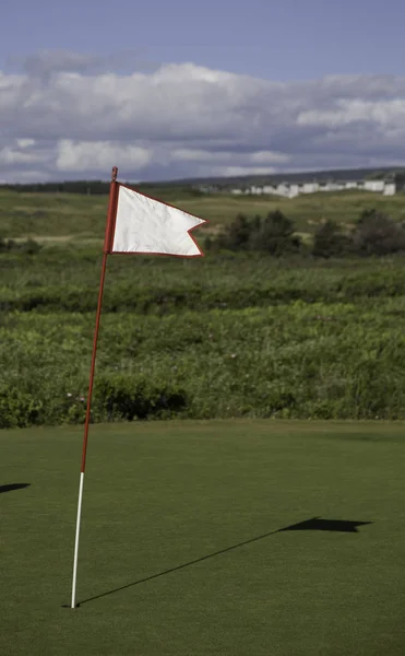 绿色上的白高尔夫旗帜 — 图库照片