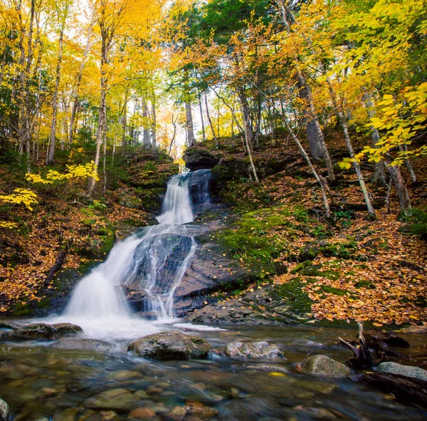 Watervallen Cape Breton Highlands — Stockfoto