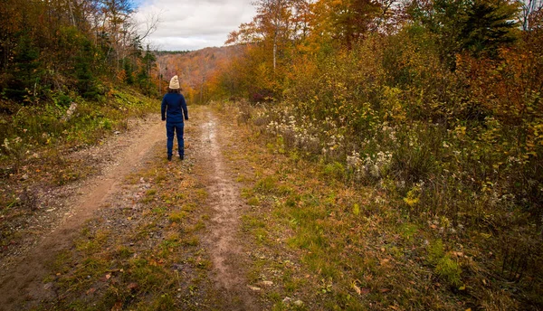 Женщина Прогуливающаяся Осенью — стоковое фото