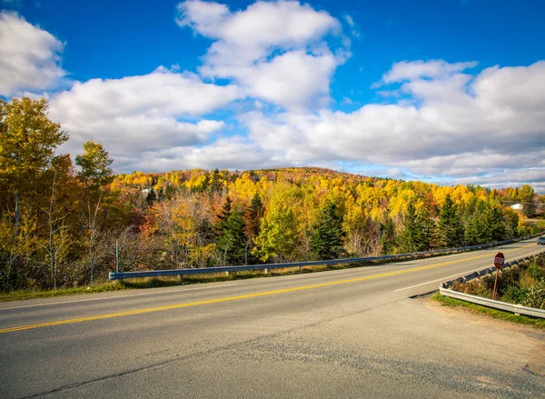 Snelweg Cape Breton Herfst — Stockfoto