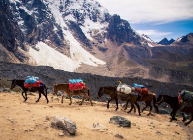 And dağlarının atları paketi