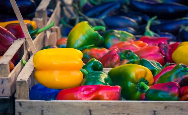 Assorted Colourful Peppers Market — Stock Photo, Image