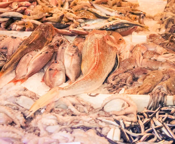 Fish Market Naples Italy — Stock Photo, Image