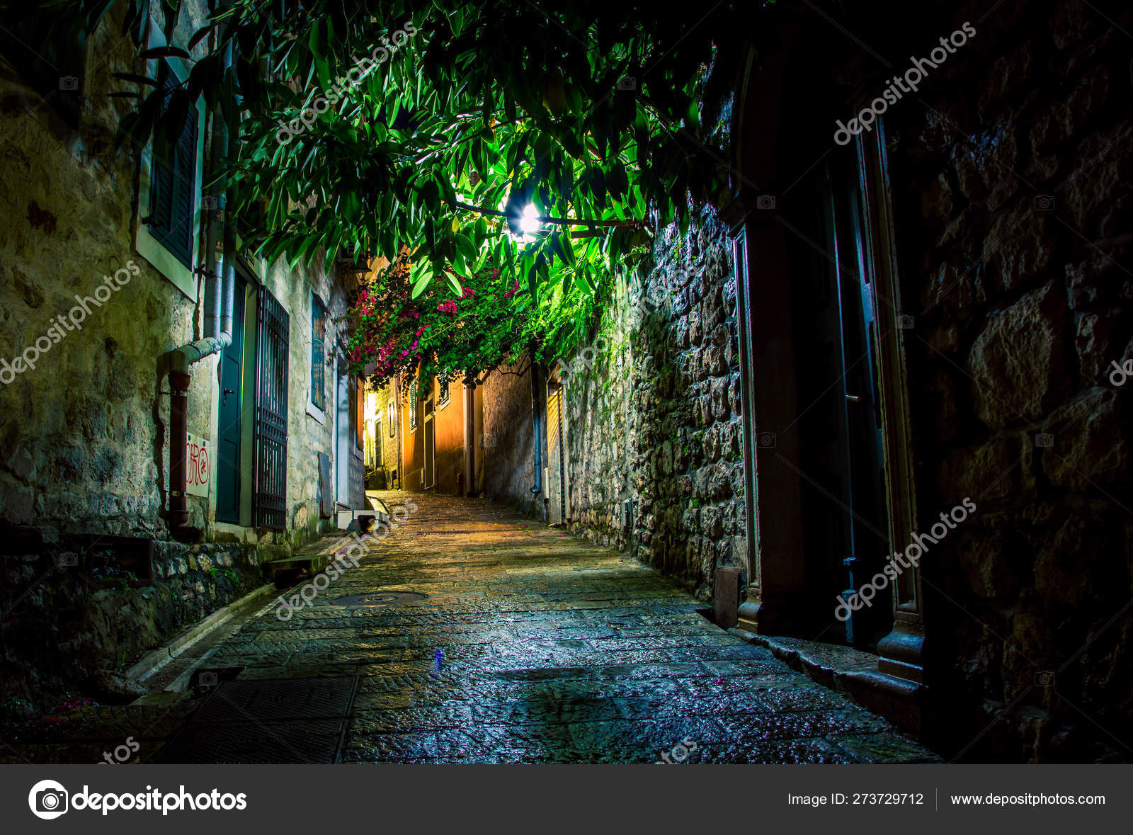 Alleyway Night Herceg Novi Stock Photo Image By C Rusty426 Alleyway Night Herceg Novi Stock Photo Image By C Rusty426