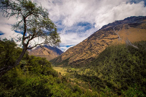 Sentiero Escursionistico Sulle Montagne Del Perù — Foto Stock