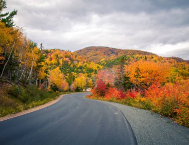 Sonbaharda Cape Breton 'da boş yol