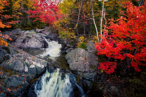 Waterfall Autumn Cape Breton — Stock Photo, Image