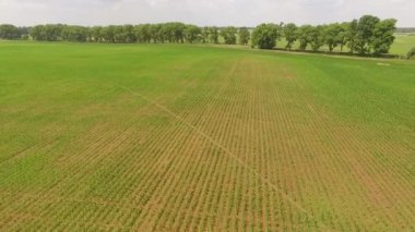 Endüstriyel sulama sistemi alanında havadan görünümü