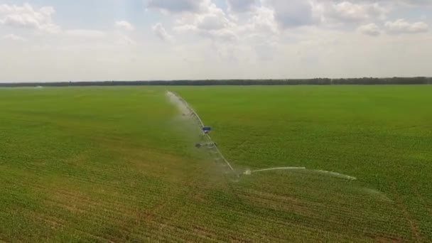 Vista Aérea Sistema Irrigação Industrial Campo — Vídeo de Stock