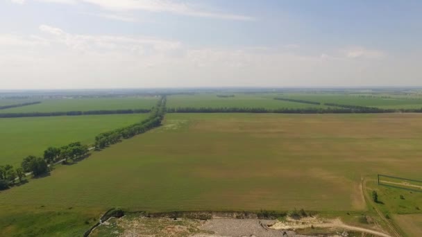 Traslado Aéreo Hierba Verde Contaminación Por Residuos Vista Superior — Vídeos de Stock