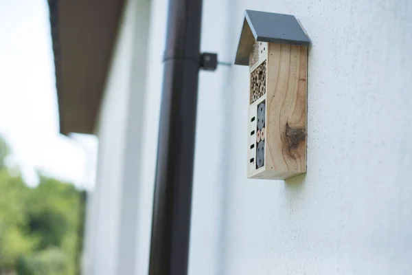 Grüne Technologie Insektenhotel Hauswand Garten Installiert — Stockfoto