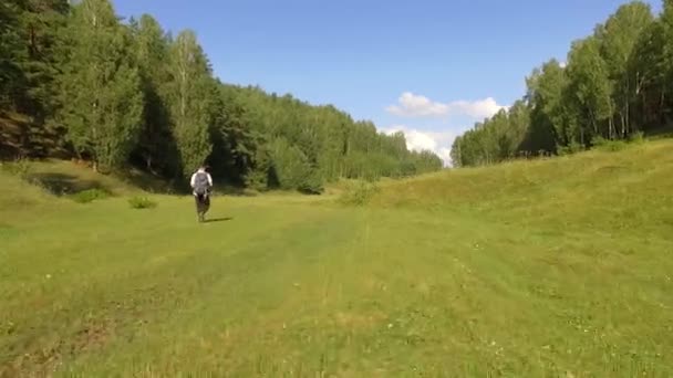 Homem Viajante Caminhadas Floresta Europeia — Vídeo de Stock