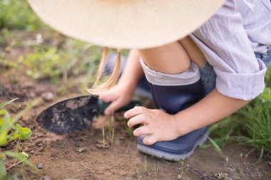 Domates hasat sonbahar bahçe sırasında kız