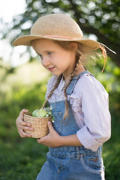 Flicka Skörda Äpplen Hösten Trädgårdsskötsel — Stockfoto