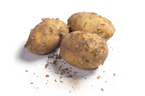 Smutsiga Potatis Vit Bakgrund Nära Håll — Stockfoto