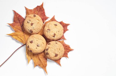 Beyaz arka plan üzerinde sonbahar akçaağaç yaprağı, kopya alanı ile üstten görünüm çikolata ile tanımlama