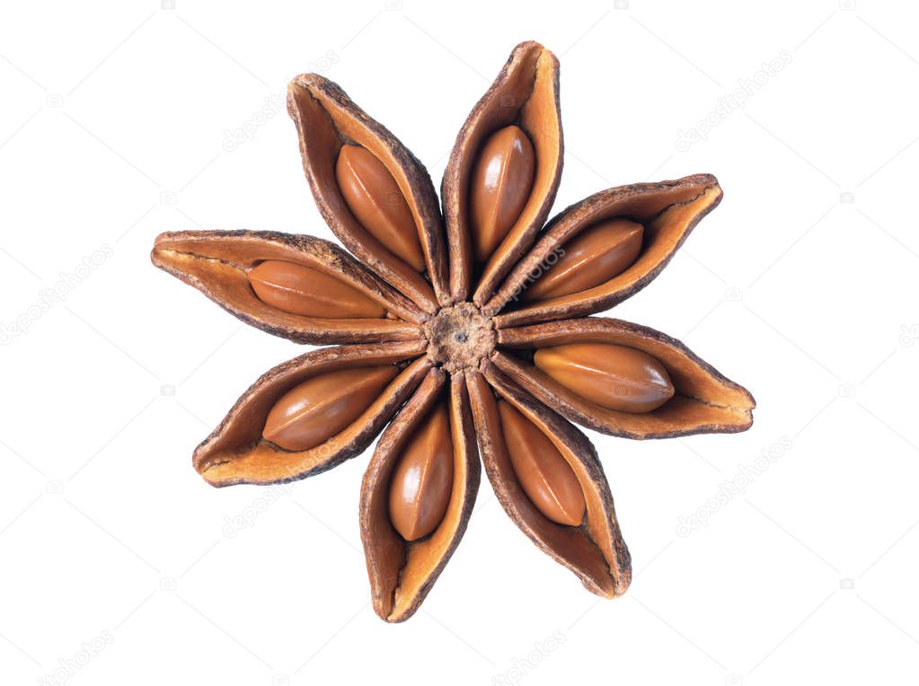 Star anise isolated on a white background close-up