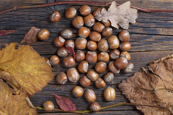 Haselnüsse Auf Rustikalem Holzgrund Mit Herbstblättern Draufsicht — Stockfoto