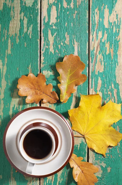커피와 단풍 — 스톡 사진