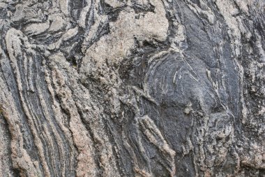 Arkaplan olarak büyük bir taş. Makro fotoğraf