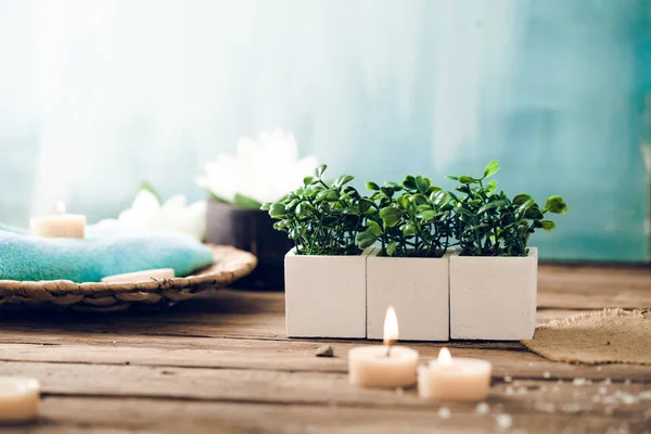 Spa Och Wellness Miljö Med Blommor Och Handdukar Dayspa Natur — Stockfoto