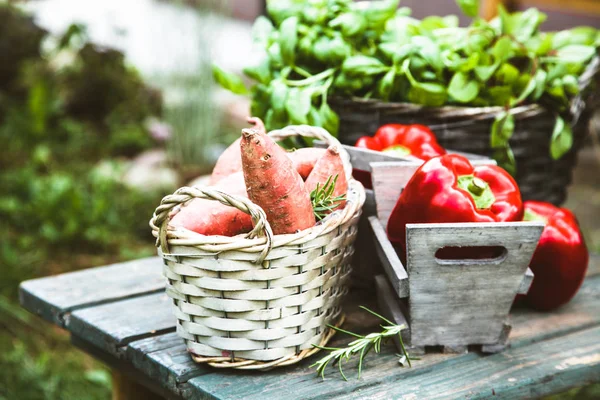 Frisches Gemüse Auf Holz Garten Lebensmittel Layout Gemüsevielfalt — Stockfoto