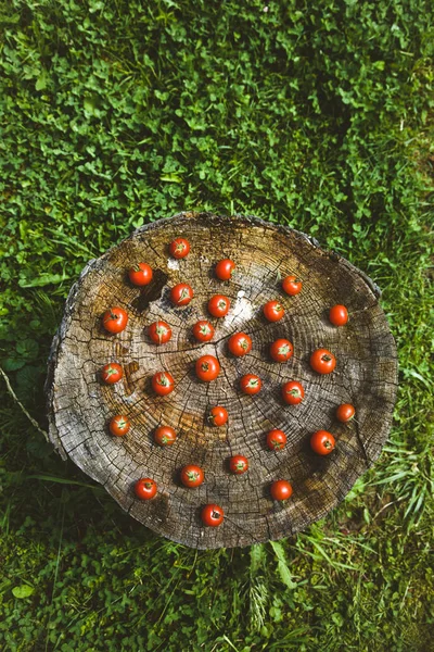 新鲜的蔬菜 樱桃番茄配迷迭香 菜园里的木头 — 图库照片