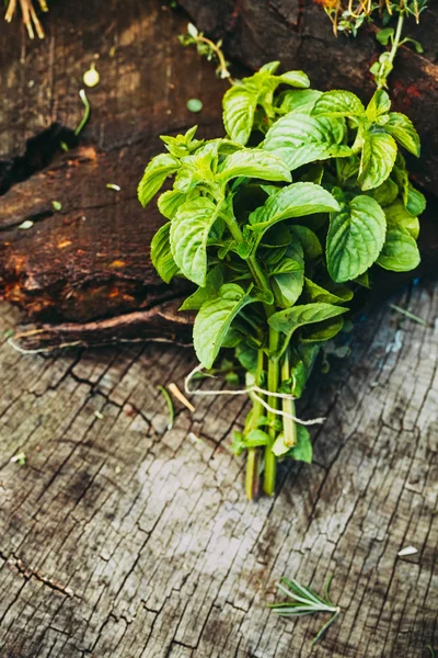 Friss Fűszernövények Konyhai Alapanyagokat Rusztikus Környezetben — Stock Fotó