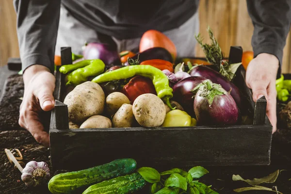 Ekologiczne Warzywa Ręce Rolników Świeżo Zebranych Warzyw Kabaczki Świeże Organiczne — Zdjęcie stockowe