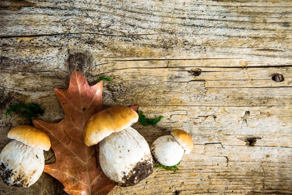 木製の背景にきのこ 秋の木茸 秋の森のフルーツ — ストック写真
