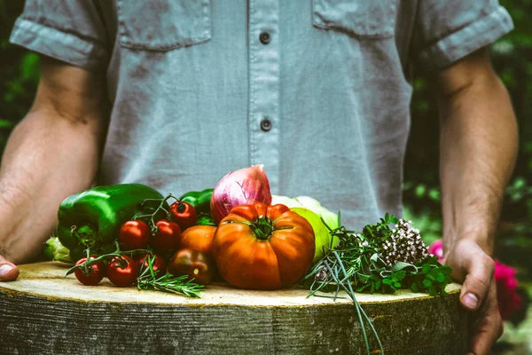 Farmer Holding Plate Full Organic Vegetables — Stock Photo, Image