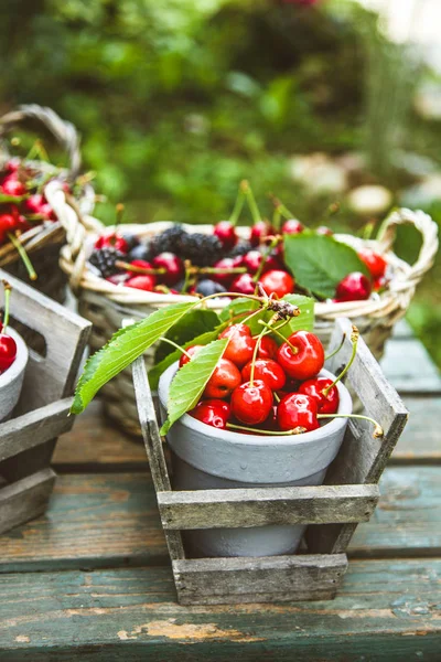 Frische Waldfrüchte Auf Holz Frisches Bio Obst Rote Kirschen Blaubeeren — Stockfoto