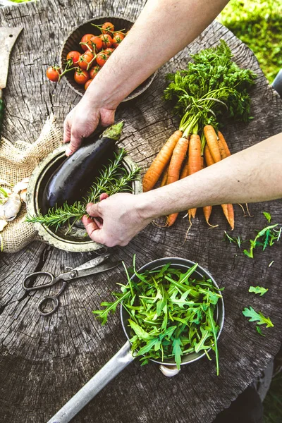 Färska Ekologiska Grönsaker Mat Bakgrund Hälsosam Mat Från Trädgård — Stockfoto