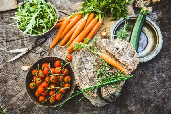 Frisches Bio Gemüse Lebensmittel Hintergrund Gesunde Lebensmittel Aus Dem Garten — Stockfoto