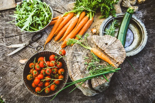 Verduras Orgánicas Frescas Fondo Alimenticio Comida Saludable Del Jardín — Foto de Stock