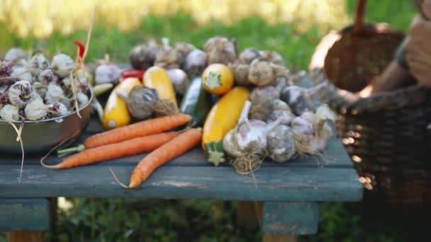 Agricultor Com Legumes Frescos — Vídeo de Stock