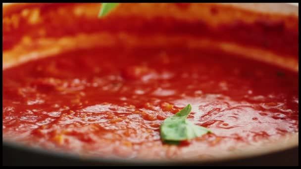 Sopa Tomate Tempero Com Manjericão — Vídeo de Stock