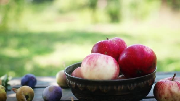 Cuenco Con Manzanas Una Mesa Jardín — Vídeo de stock