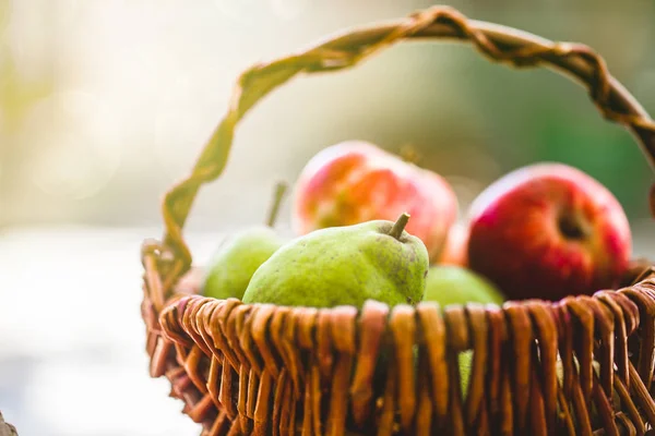 Färska Äpplen Och Päron Trä Färsk Ekologisk Frukt Röda Äpplen — Stockfoto