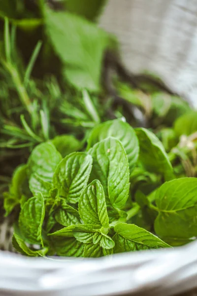 Fresh Herbs Melissa Rosemary Mint Rustic Setting — Stock Photo, Image