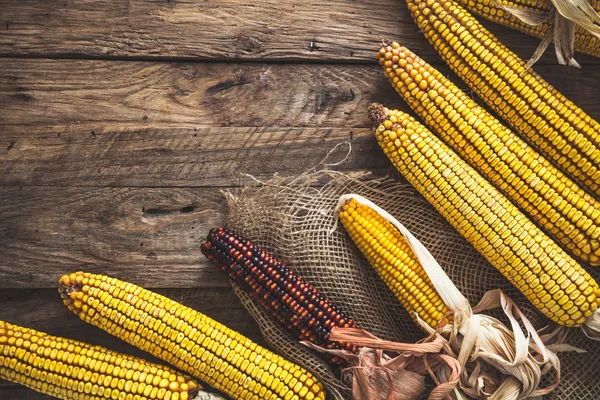 Frutto Autunnale Con Mais Legno Ringraziamento Autunno Sfondo — Foto Stock