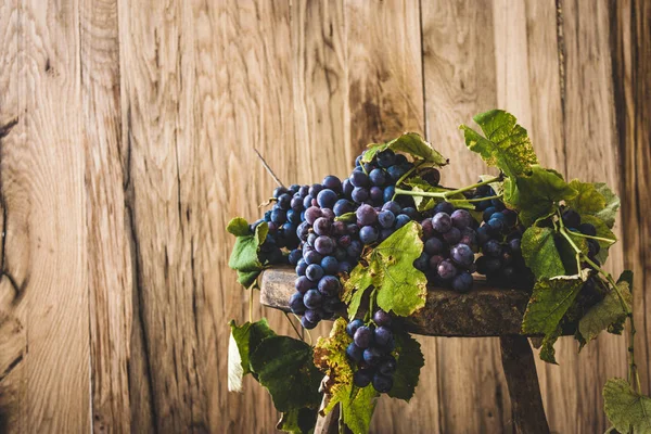 Frische Trauben Auf Holz Herbstfrucht — Stockfoto